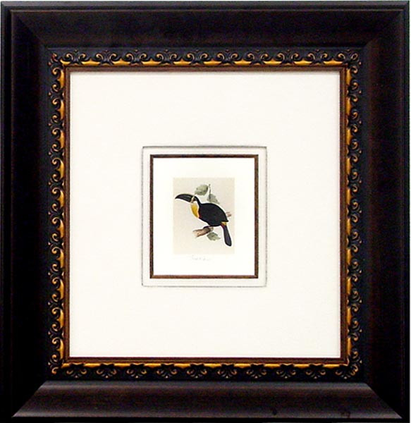 18190 TOUCAN II - 18X19