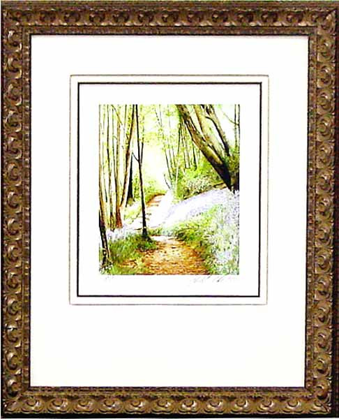 18444 COUNTRY VENTURE II - 20X25