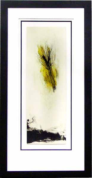 18631 SOLATION III - 20X42