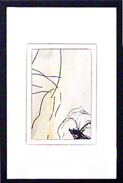 18707 DAINTREE XIII - 11X17