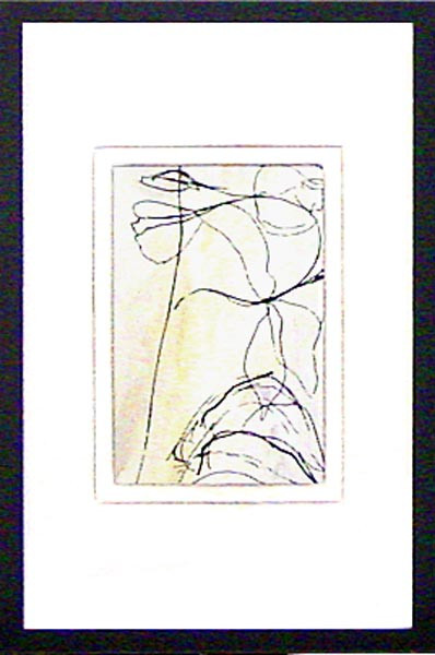 18711 DAINTREE XVII - 11X17