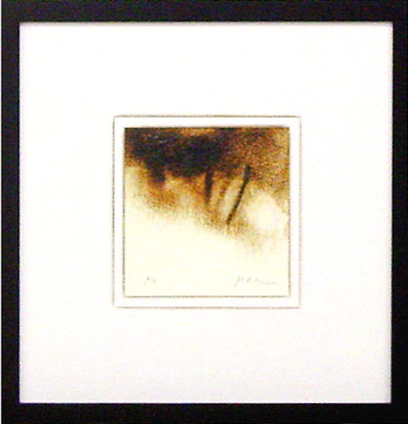 18747 FOREST EDGE V - 18X18