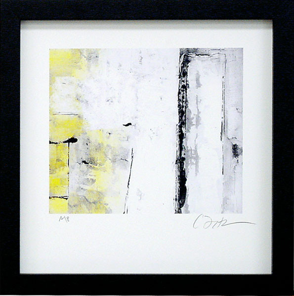 19273 FREMONT STREET II - 24X25