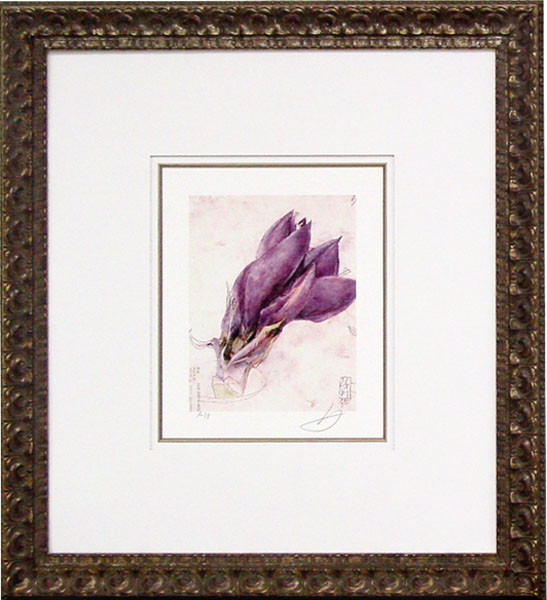 19325 VINCA ROSEA II - 30X33