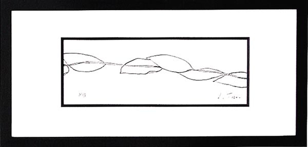20306 LADERA II - 13X29