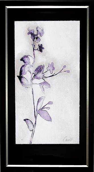 20387 BREQUETTE - 34X68