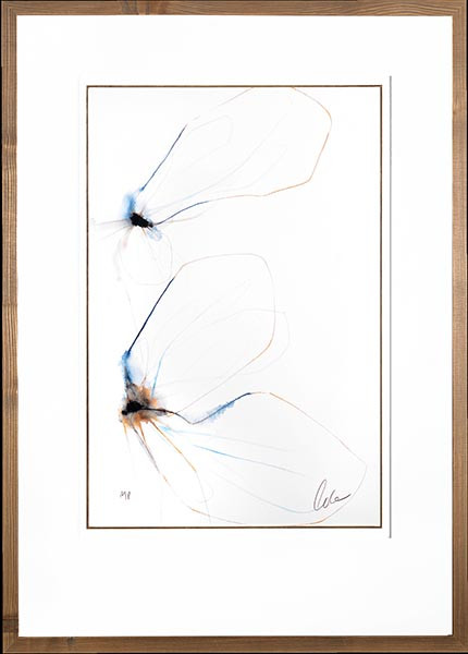 20448 BORBOLETA II - 24X34