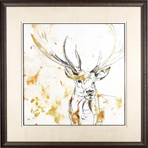 20552 STAG ONE - 40X40
