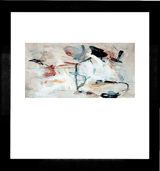 21211 EQUINOX II - 19X18