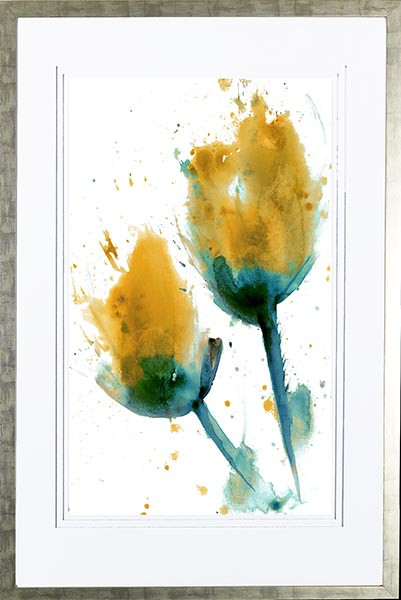 21542 PHOEBE I - 26X40