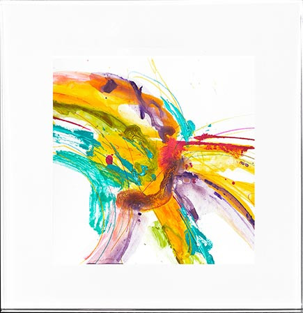21565 FUSED III - 16X16