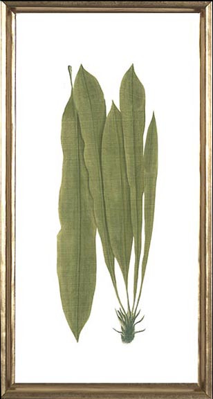 22010 PLATE 146 - 22X11