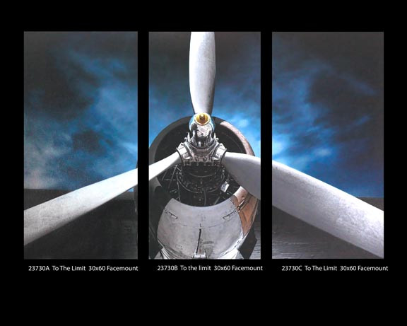 23730 TO THE LIMIT - 90X60 (3-PIECE SET)