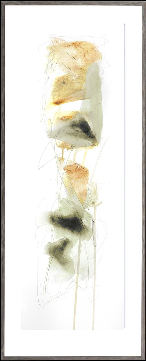 24035 KIWI RUN II - 27X70