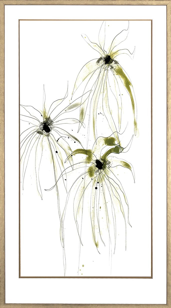 26279 PADEN I   24 X 45
