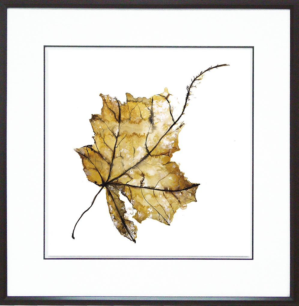 26285 TAMED III   34 X 34