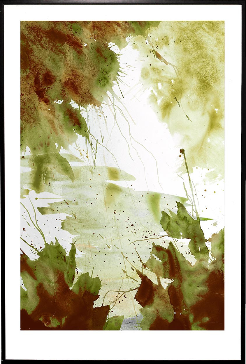 26612 DAMARIS I 47X70
