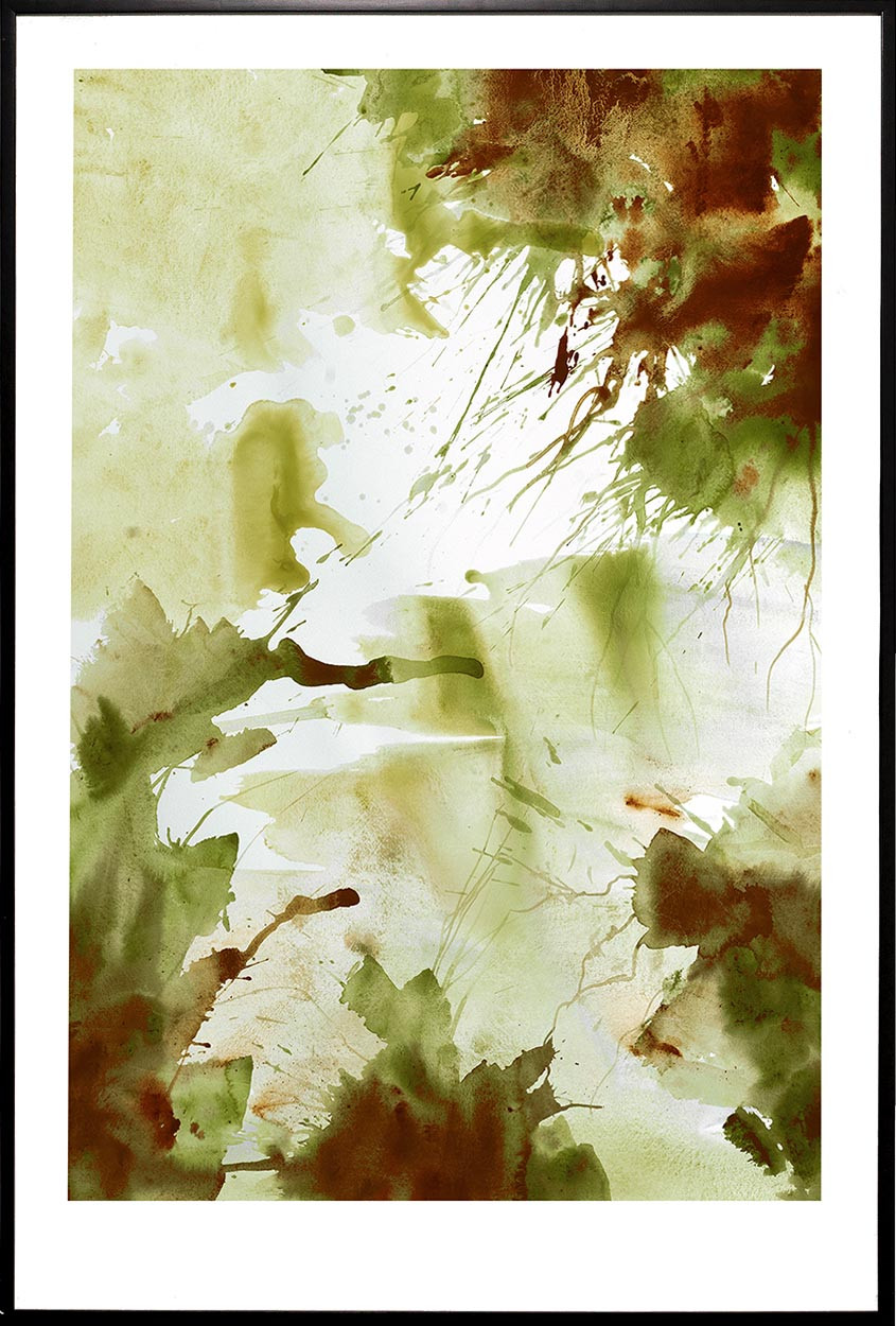 26613 DAMARIS II 47X70