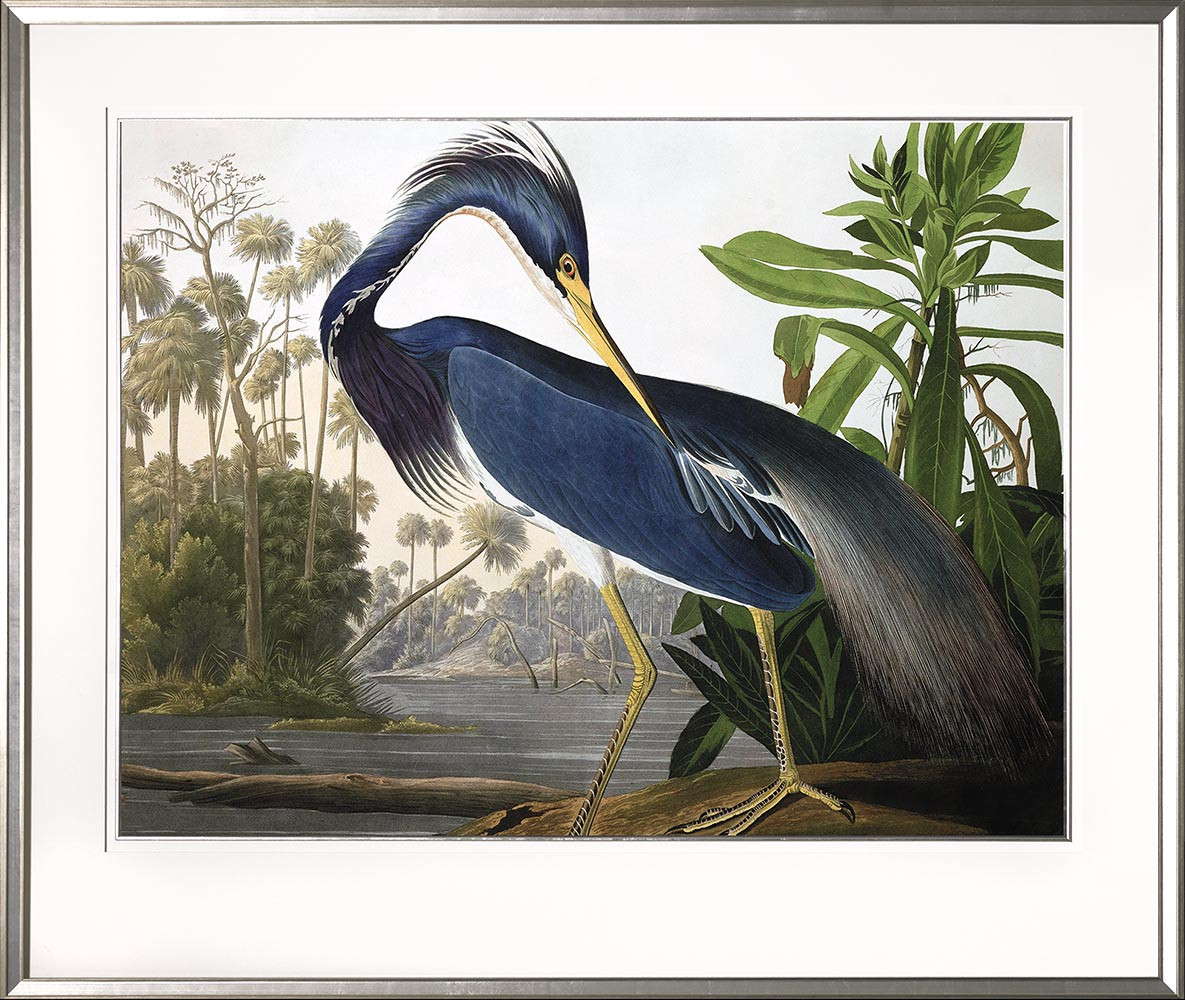 27605 LOUISIANA HERON - 48X40