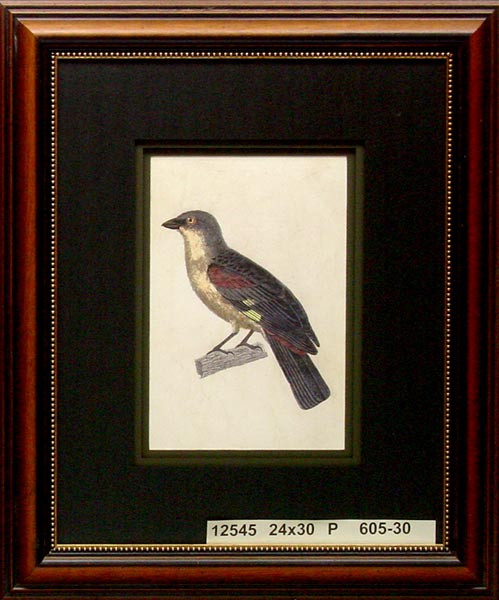 12545 TANGARA II - 24X30