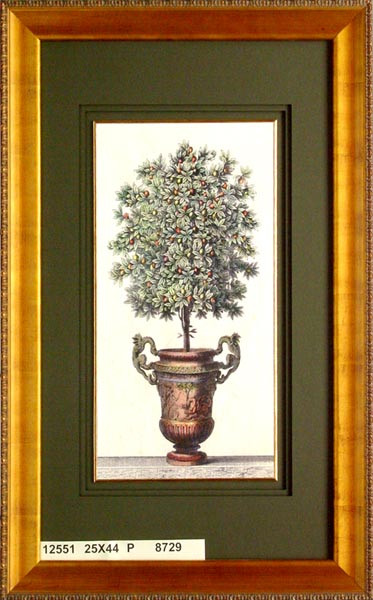 12551 ARBOL DOS - 25X44