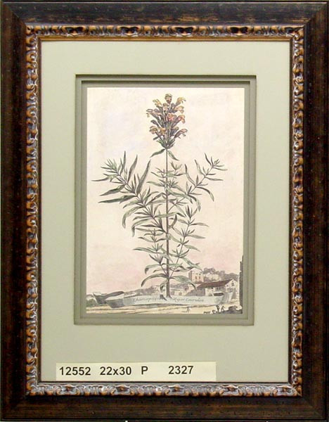 12552 CHAMOPUYS - 22X30