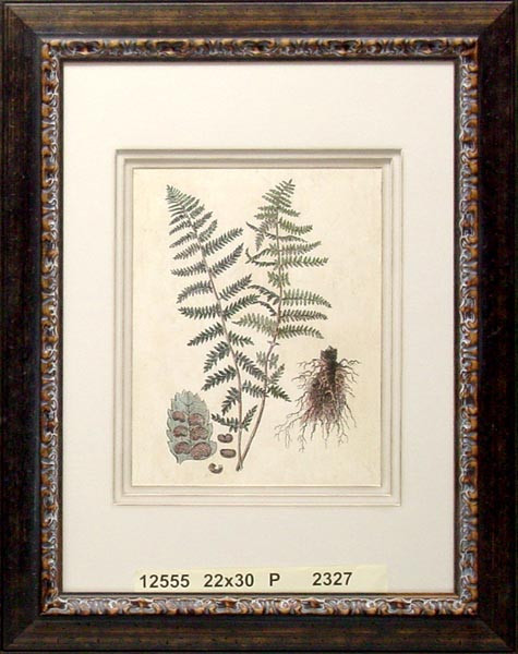 12555 FUEGERE MALE - 22X30