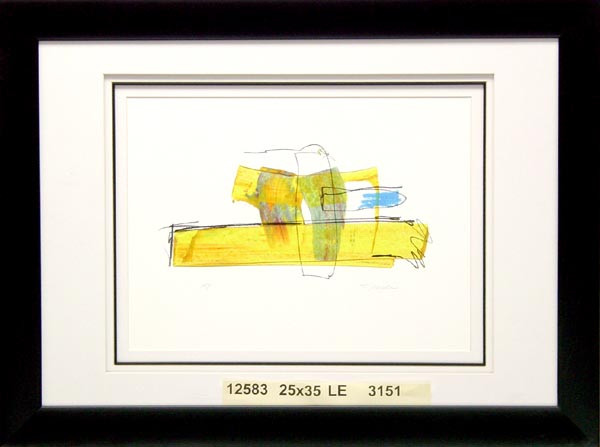 12583 ALLON I - 25X35