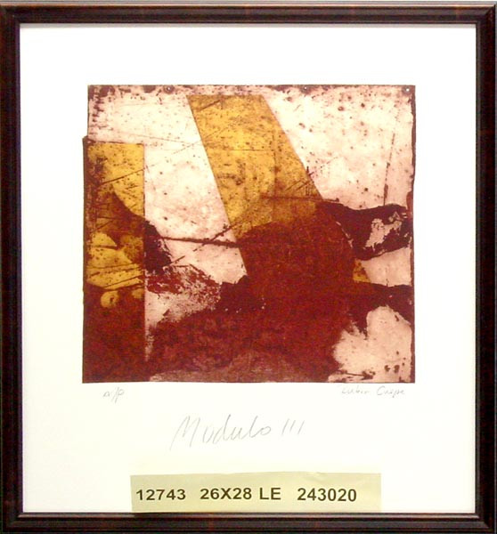 12743 MODULO III - 26X28