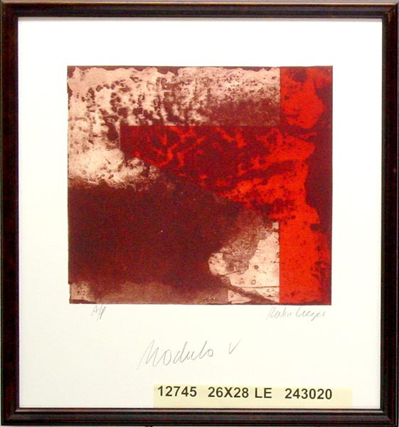 12745 MODULO V - 26X28