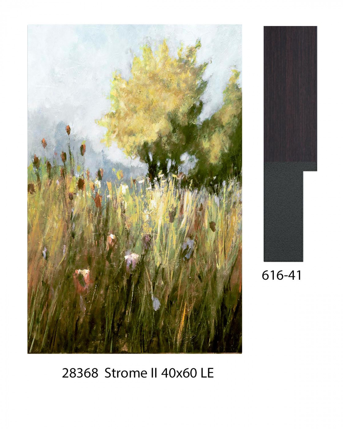 28368 STROME II 