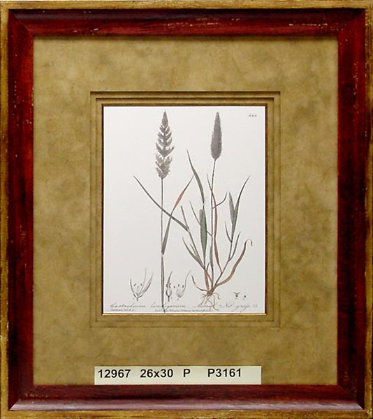 12967 PLATE 444 - 26X30