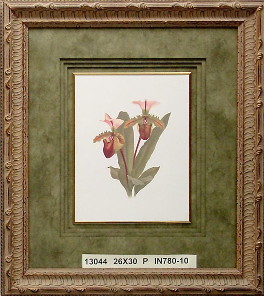13044 SPICERIANUM - 26X30