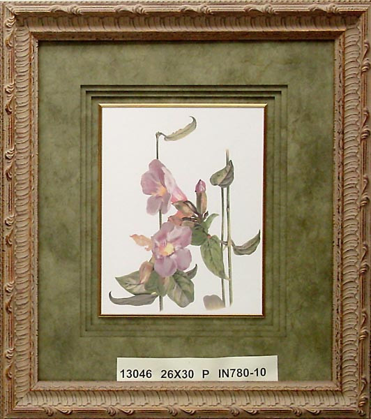13046 LAURIFOLIA - 26X30