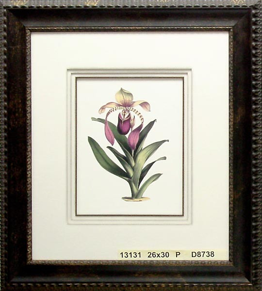 13131 LOWII - 26X30