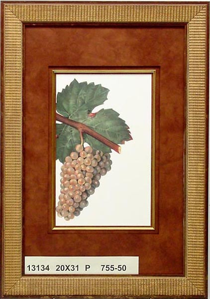 13134 PEURION - 20X31
