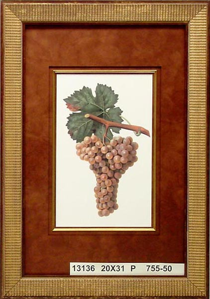 13136 GENOVESE - 20X31