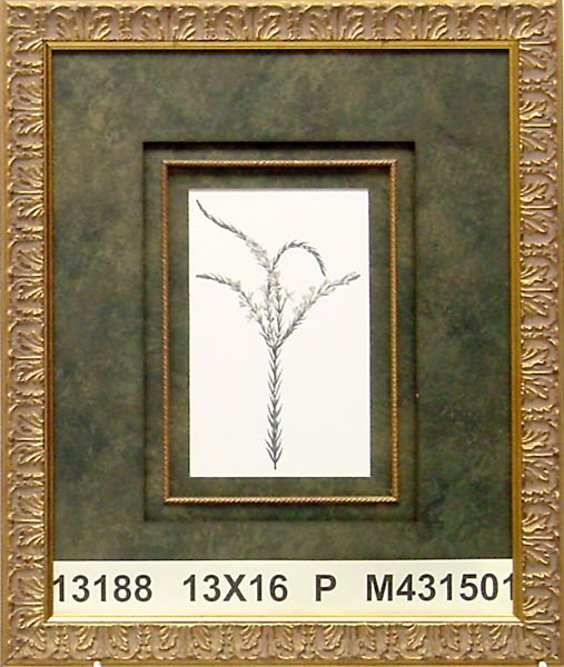 13188 PLATE 222 - 13X16