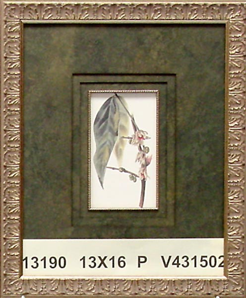 13190 PLATE 617 - 13X16