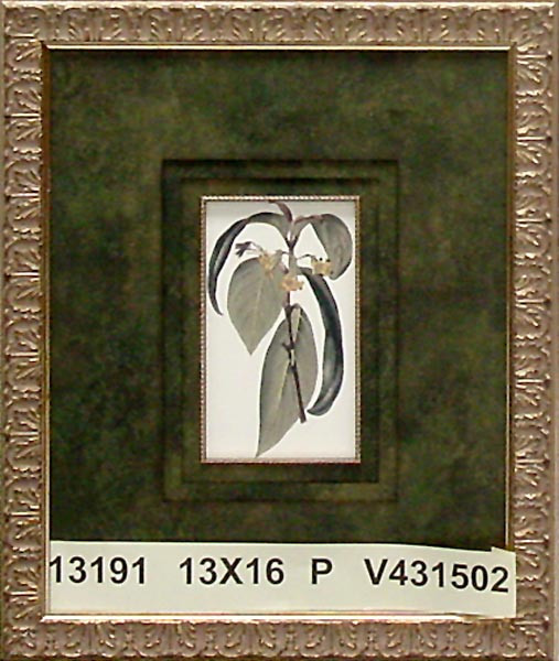 13191 PLATE 350 - 13X16