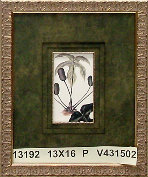 13192 PLATE 677 - 13X16