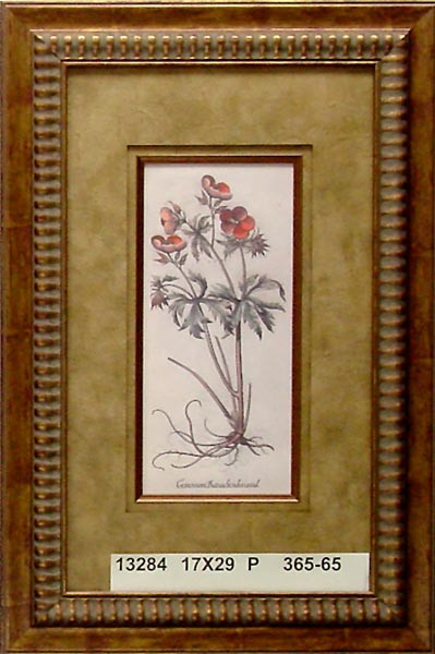 13284 GERANIUM - 17X29