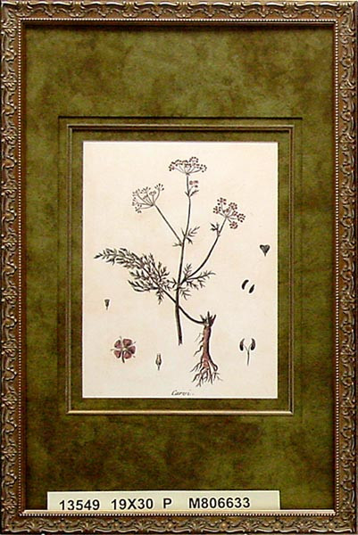 13549 CARVI - 19X30