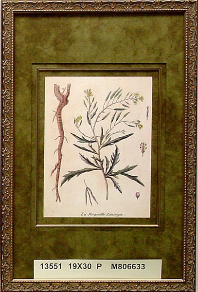 13551 LA ROQUETTE SAUVAGE - 19X30