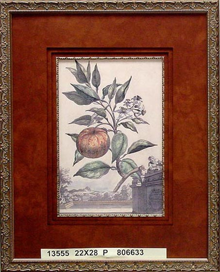 13555 AURANTIA I - 22X28