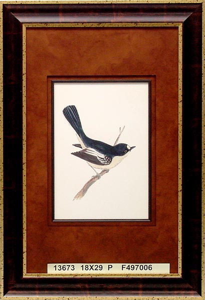 13673 PERCHED TWO - 18X29