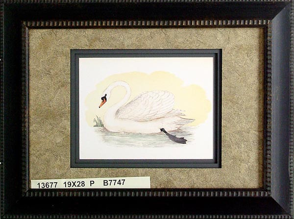 13677 MUTE SWAN - 19X28