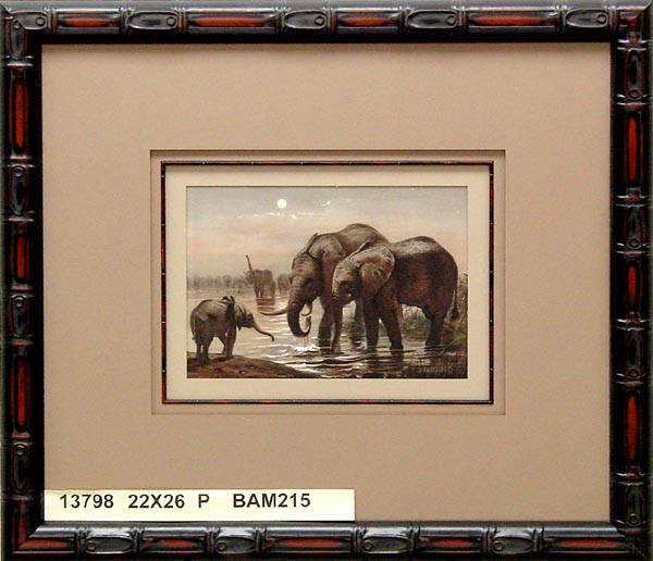13798 THE AFRICAN ELEPHANT - 22X26