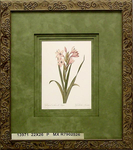 13971 GLAYEUL COULEUR - 22X26