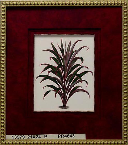 13979 L'ILLUSTRATION HORTICOLE - 21X24